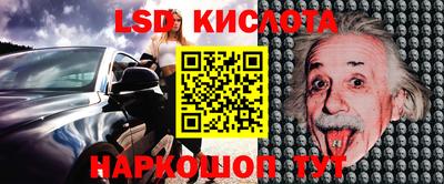 прущие грибы Можайск
